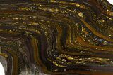 Polished Tiger Iron Stromatolite Section - Billion Years #314326-1